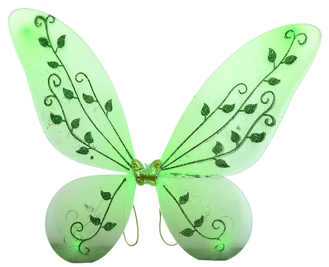 Green Fairy Costume Set Tutu Skirt Glitter Wings Gold Wand Kids Fancy Dress