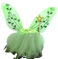 Green Fairy Costume Set Tutu Skirt Glitter Wings Gold Wand Kids Fancy Dress