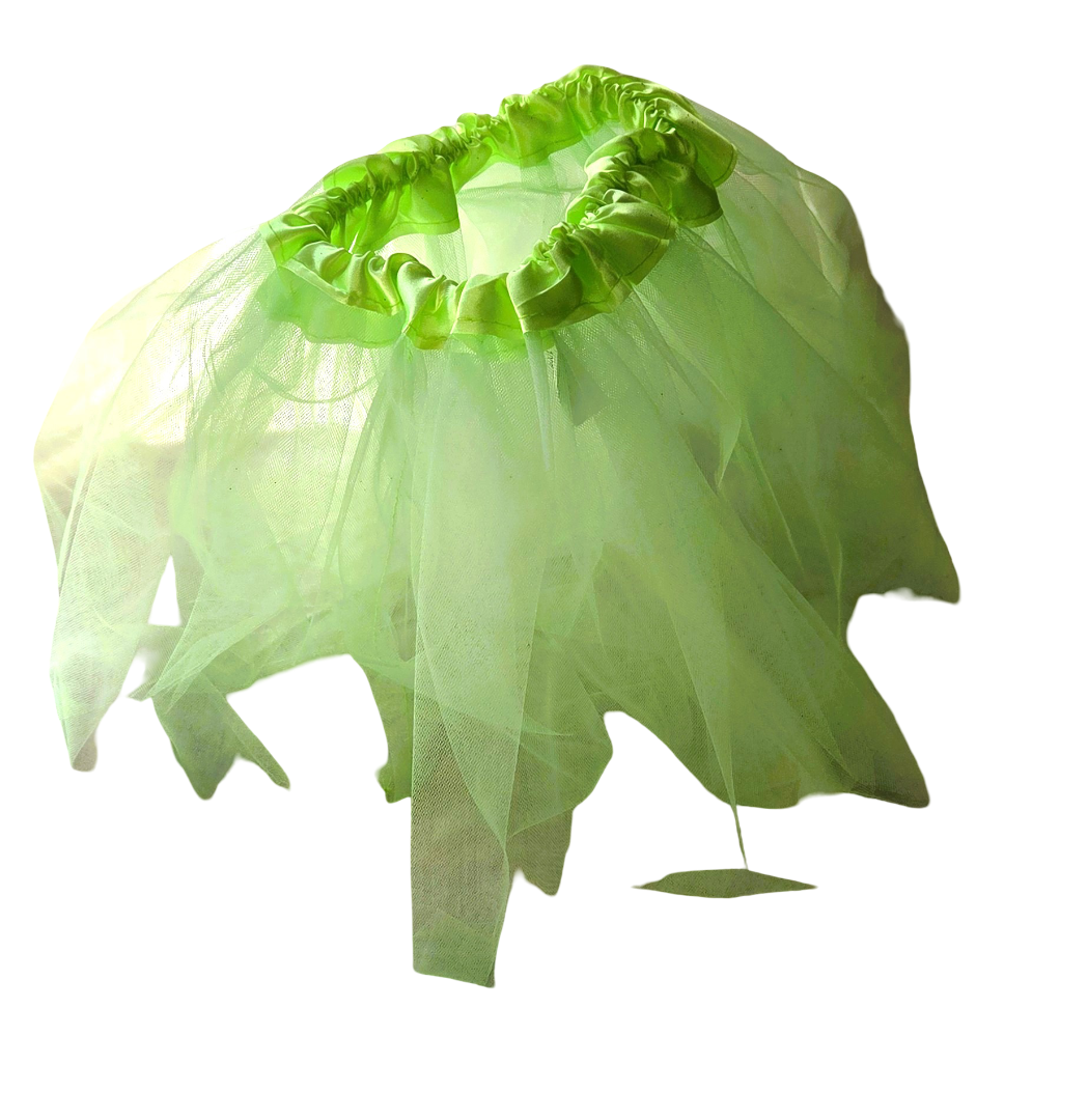 Green Fairy Costume Set Tutu Skirt Glitter Wings Gold Wand Kids Fancy Dress